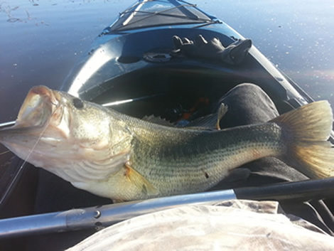6.5 pounds of bass laying across my legs in kayak